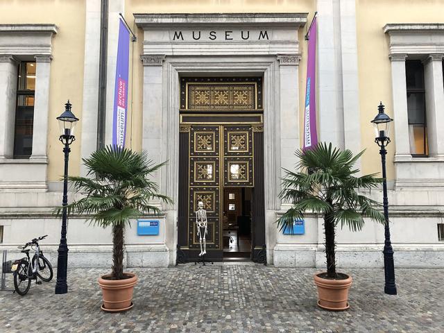 Natural History Museum of Basel